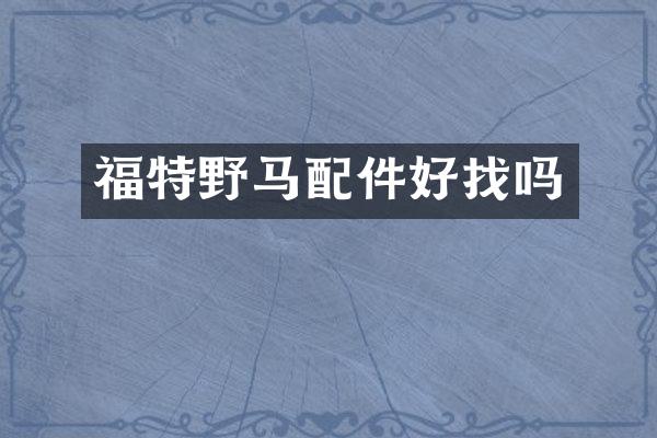 福特野马配件好找吗