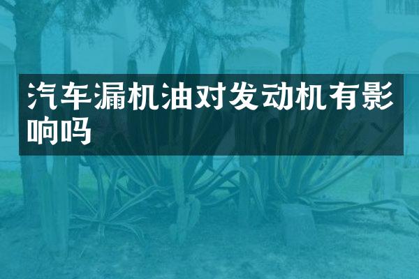 汽车漏机油对发动机有影响吗