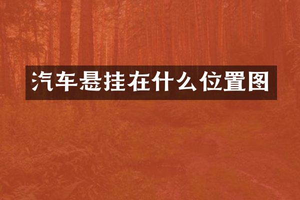 汽车悬挂在什么位置图