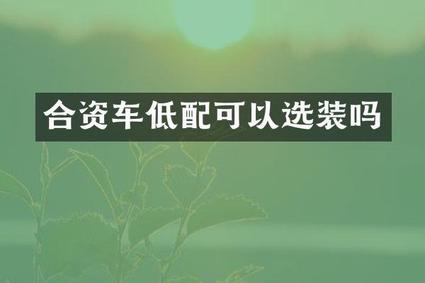 合资车低配可以选装吗