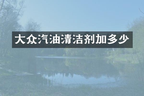 大众汽油清洁剂加多少