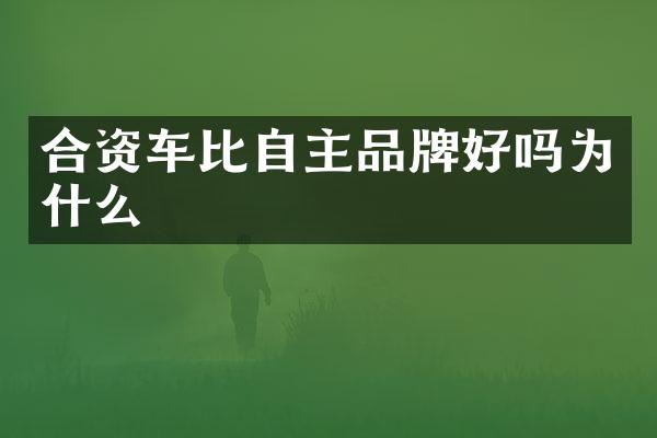 合资车比自主品牌好吗为什么