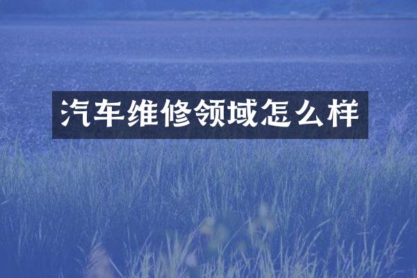汽车维修领域怎么样