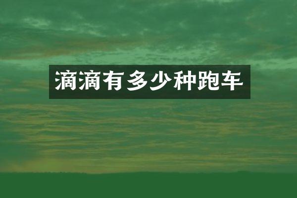 滴滴有多少种跑车