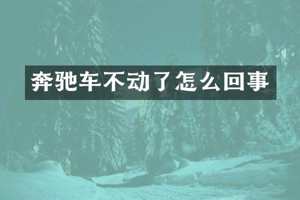 奔驰车不动了怎么回事