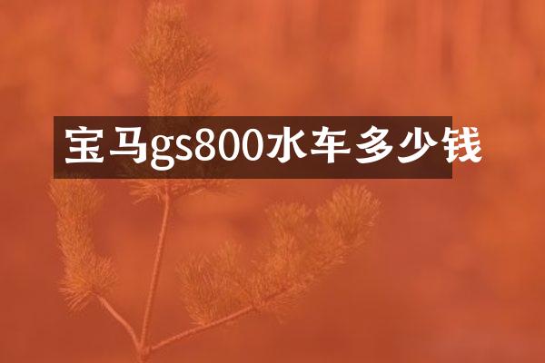 宝马gs800水车多少钱