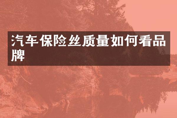 汽车保险丝质量如何看品牌