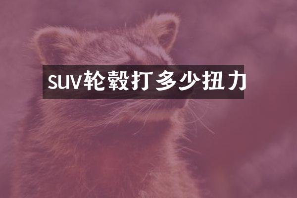 suv轮毂打多少扭力