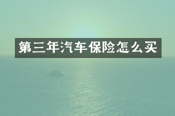 第三年汽车保险怎么买