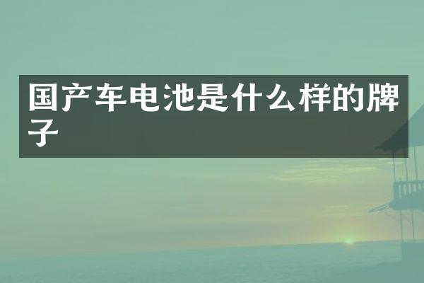 国产车电池是什么样的牌子