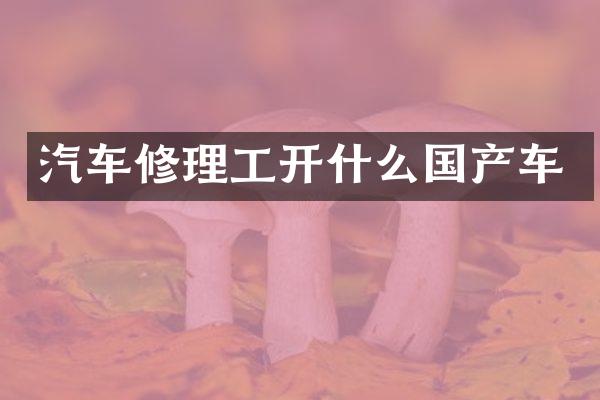汽车修理工开什么国产车