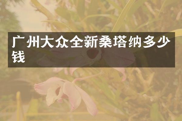 广州大众全新桑塔纳多少钱
