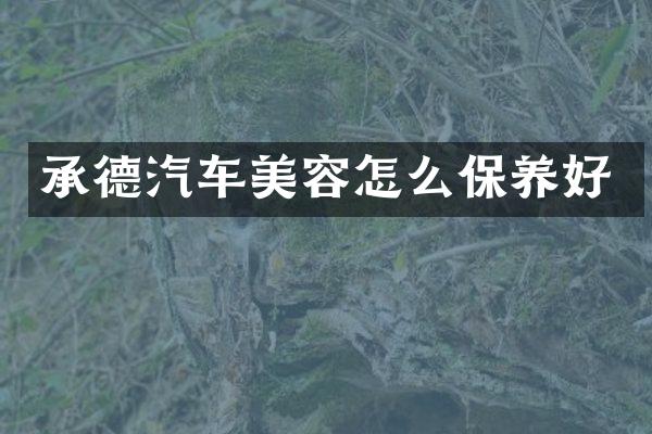 承德汽车美容怎么保养好