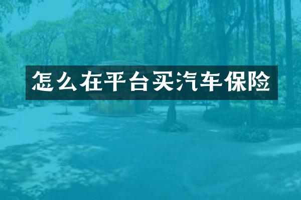 怎么在平台买汽车保险