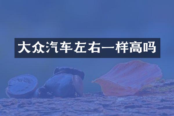 大众汽车左右一样高吗