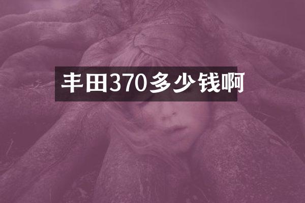 丰田370多少钱啊