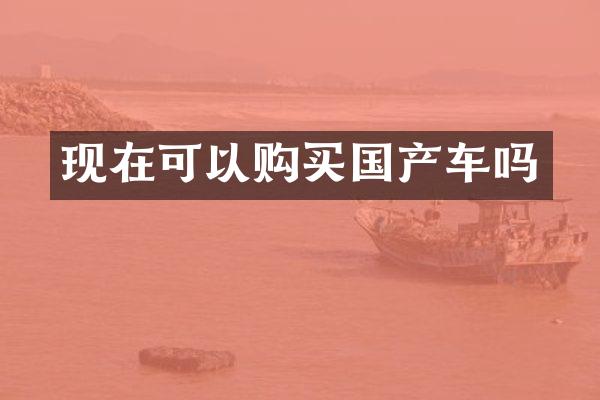 现在可以购买国产车吗