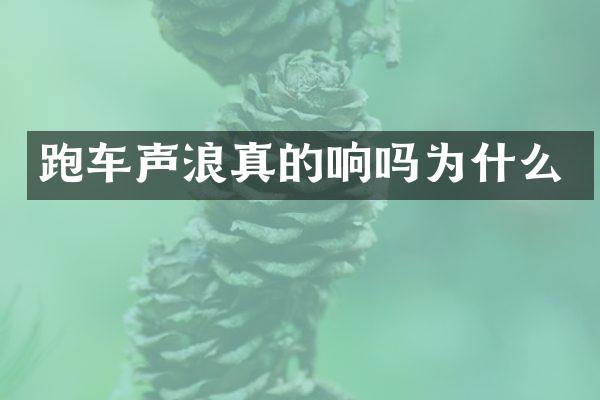 跑车声浪真的响吗为什么