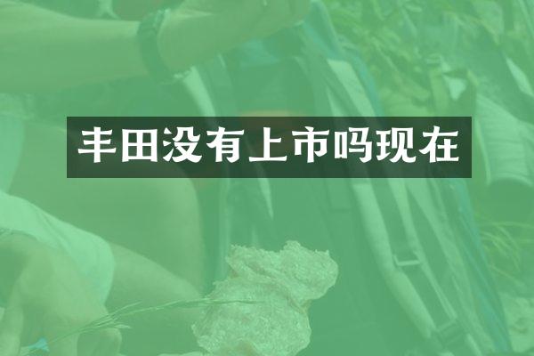 丰田没有上市吗现在