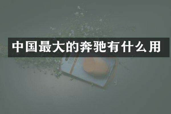 中国最大的奔驰有什么用