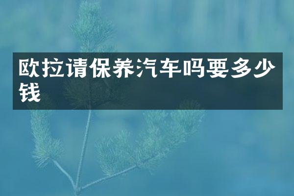 欧拉请保养汽车吗要多少钱