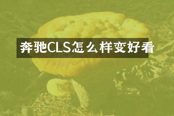 奔驰CLS怎么样变好看