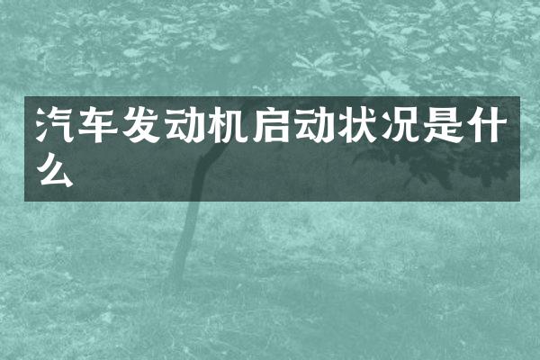 汽车发动机启动状况是什么