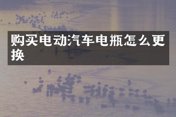 购买电动汽车电瓶怎么更换