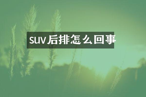 suv后排怎么回事