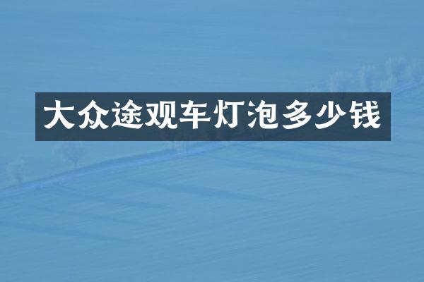大众途观车灯泡多少钱