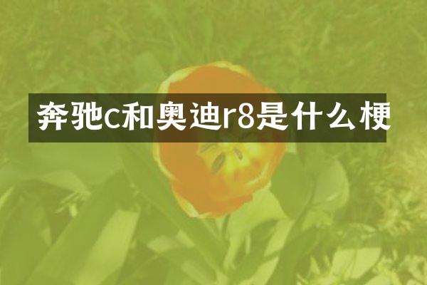 奔驰c和奥迪r8是什么梗
