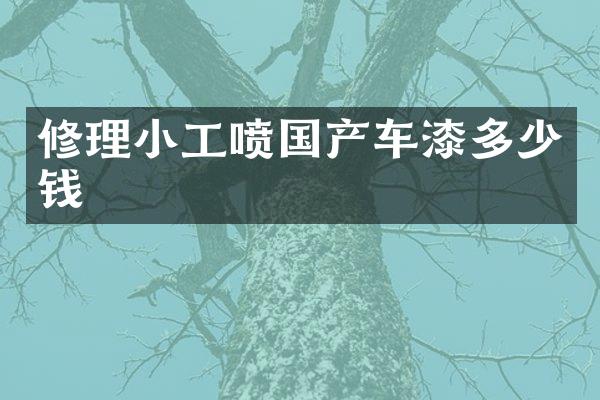 修理小工喷国产车漆多少钱