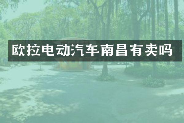 欧拉电动汽车南昌有卖吗