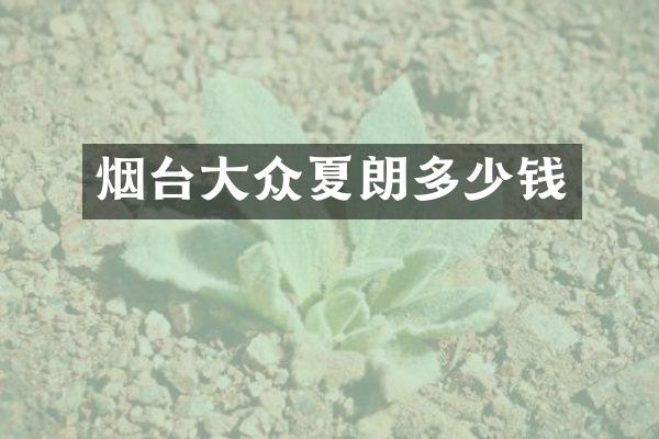 烟台大众夏朗多少钱