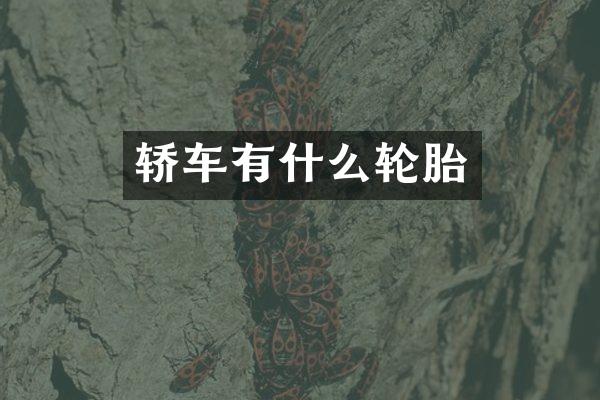 轿车有什么轮胎