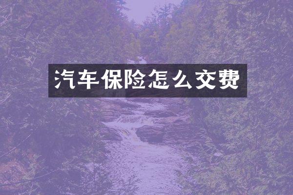 汽车保险怎么交费