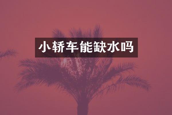 小轿车能缺水吗