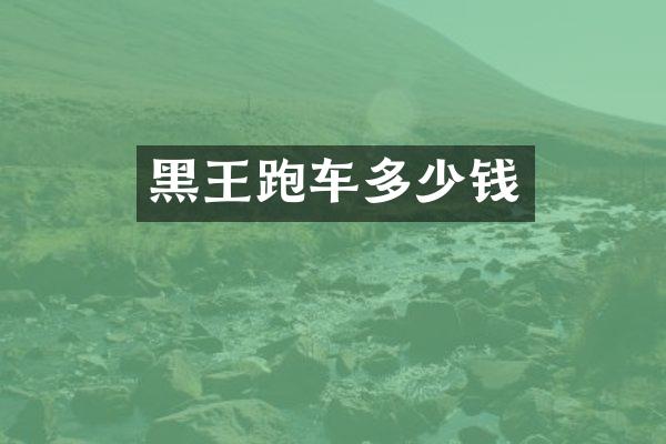 黑王跑车多少钱