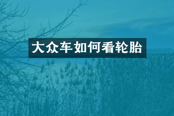 大众车如何看轮胎