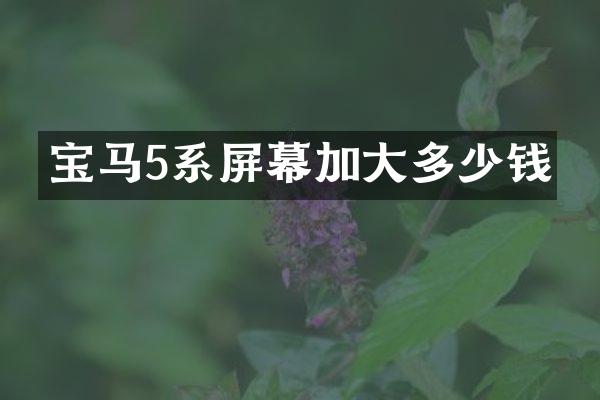 宝马5系屏幕加大多少钱