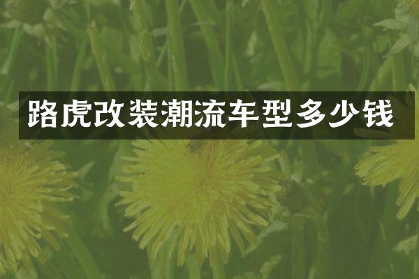 路虎改装潮流车型多少钱