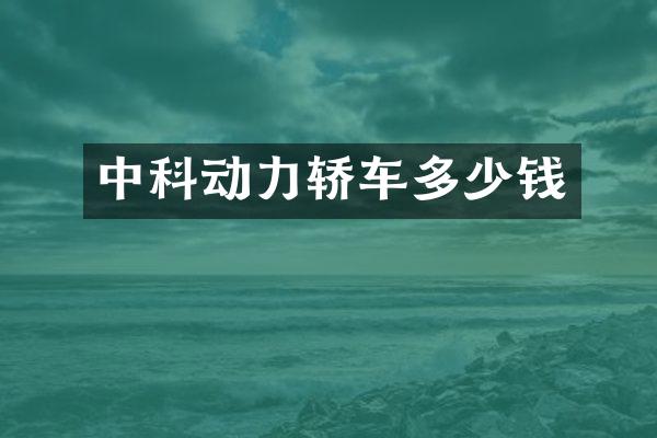 中科动力轿车多少钱