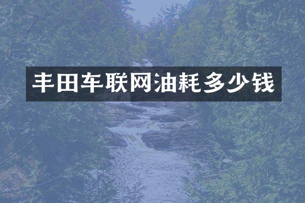 丰田车联网油耗多少钱