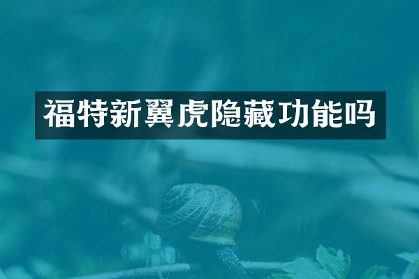 福特新翼虎隐藏功能吗