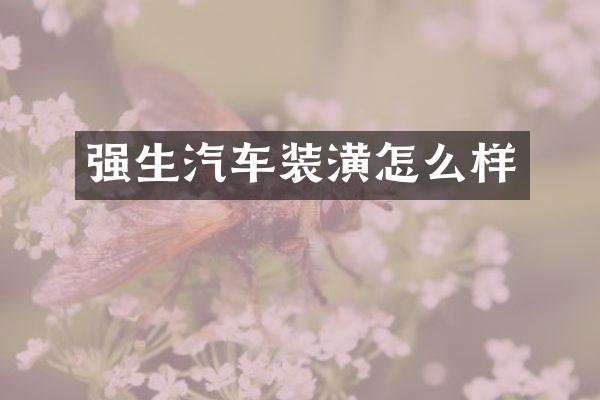 强生汽车装潢怎么样