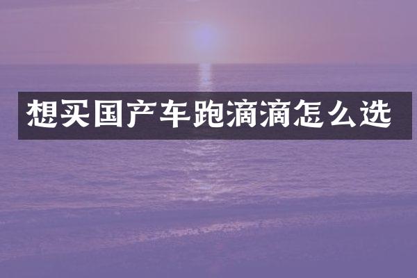 想买国产车跑滴滴怎么选