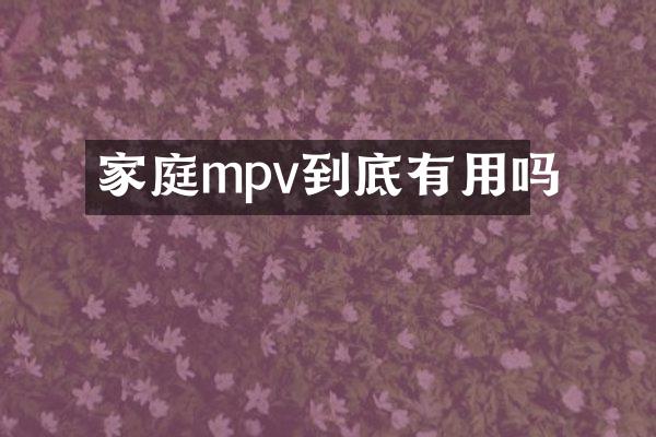 家庭mpv到底有用吗