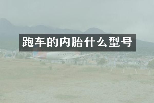 跑车的内胎什么型号