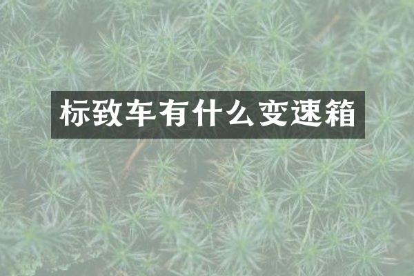 标致车有什么变速箱