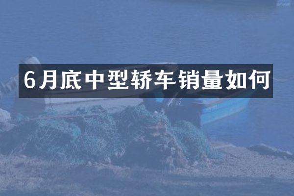 6月底中型轿车销量如何